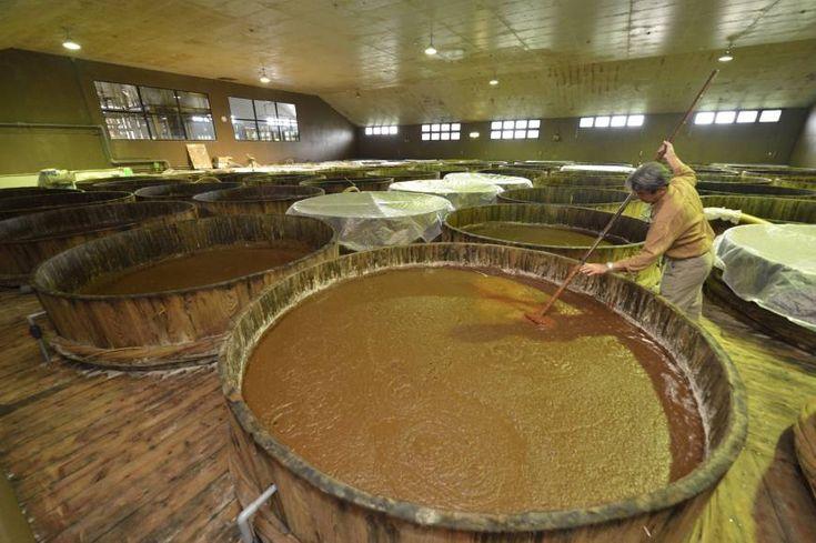 Производство ферментированных продуктов: от сырья до готового продукта