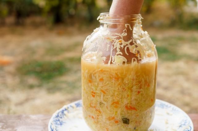Производство ферментированных продуктов